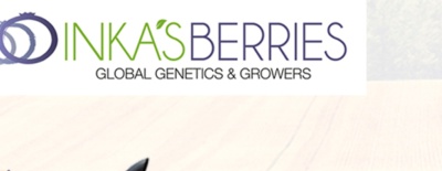Inka's Berries